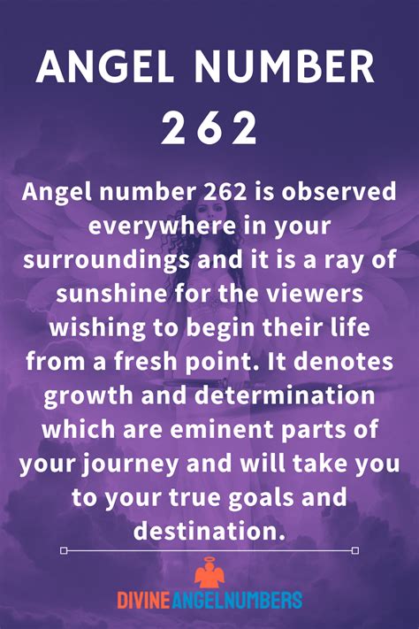 262 angel number love|Angel Number 262 Meaning, Symbolism, Secret